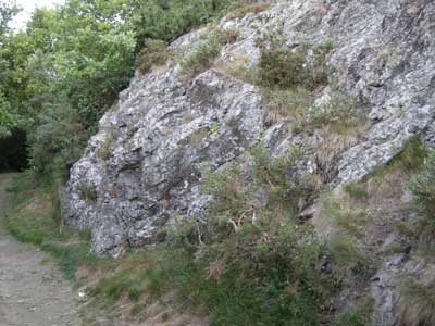 rock_between_ivy_and_view